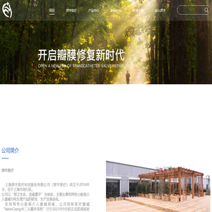 上海捍宇医疗科技股份有限公司