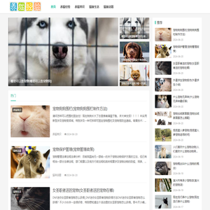 锦义诚养猫经验