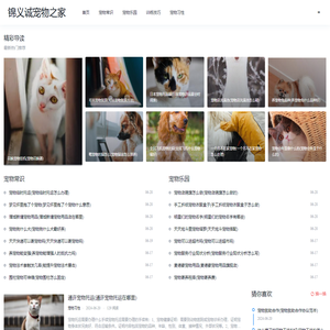 一个值得铲屎官常来的平台