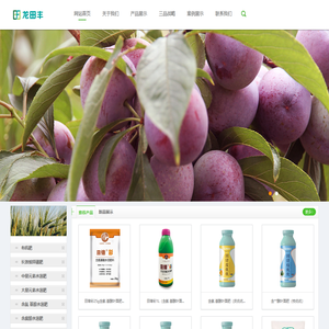 四川龙田丰生化有限公司