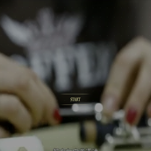 衡水罗菲乐器有限公司