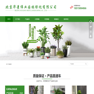 北京绿植租赁