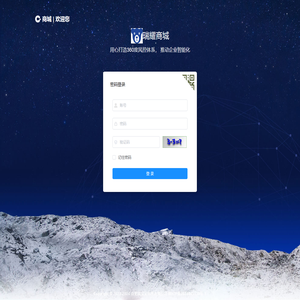 灵动数字网络科技