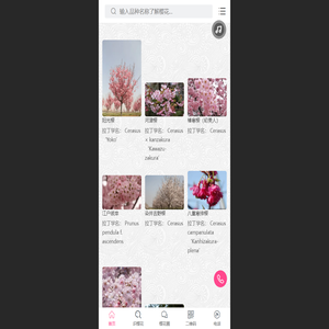 樱花品种图志网