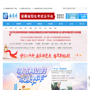 安青网