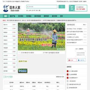 绿化苗木