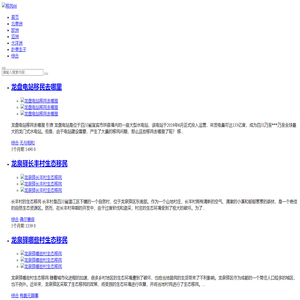 移民个性化方案定制