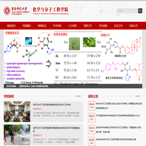 化学与分子工程学院