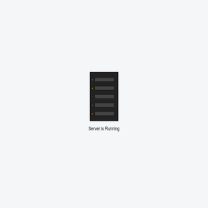 Server
