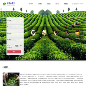 武夷茶网