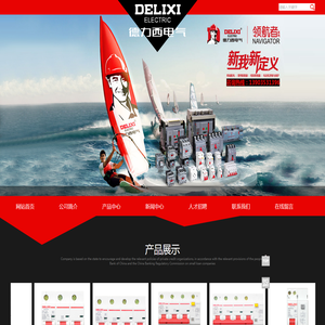阳泉德力西电器有限公司