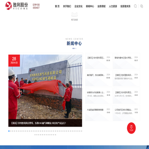 山东胜利股份有限公司