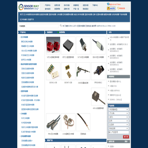 赛斯维传感器网站