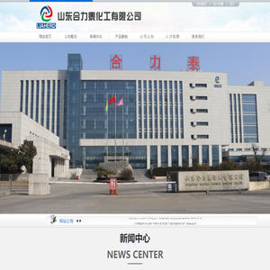 山东合力泰化工有限公司