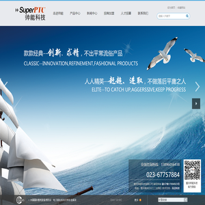 重庆帅能科技有限公司