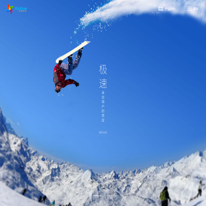 新峰软件技术有限公司