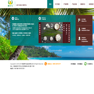 海南椰中宝食品有限公司