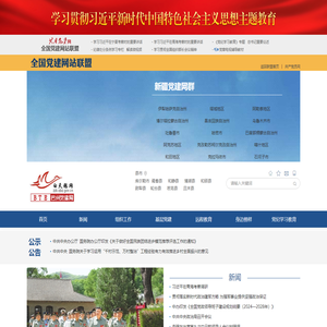 白天鹅网