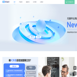 专业IC网站建设