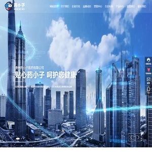 贵州药小子医药有限公司