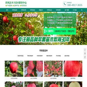 陕西杨凌新品种苹果苗