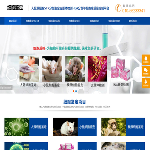 细胞鉴定