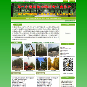 银杏树价格表,银杏树苗价格,银杏价格,银杏树价格13813464666,