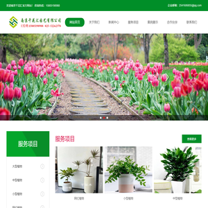 网红南京绿植租赁