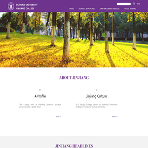 四川大学锦江学院