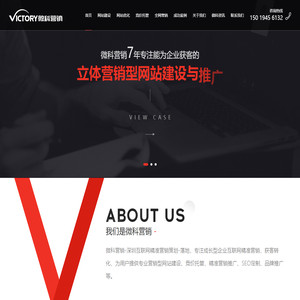 深圳网络营销推广,SEO网站优化,SEM百度竞价外包,10年经验