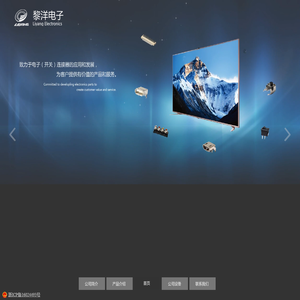 温州市黎洋电子有限公司