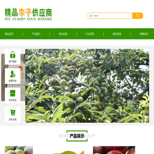 精品李子供应商