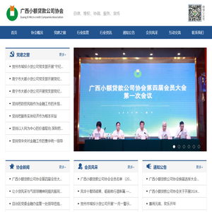广西小额贷款协会公司
