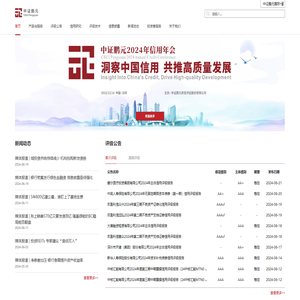 中证鹏元评级提供专业的信用风险评级服务