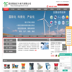 武汉凯迪正大电气有限公司