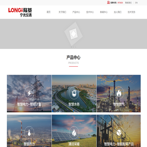 宁夏隆基宁光仪表股份有限公司,宁夏隆基电气有限公司