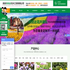 西安草花价格