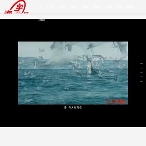 海宇股份有限公司