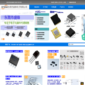 东莞市盛锋电子有限公司