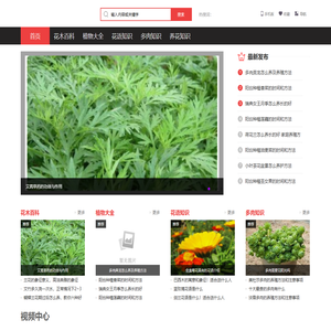花木知识