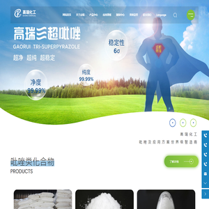 山东高瑞化工有限公司