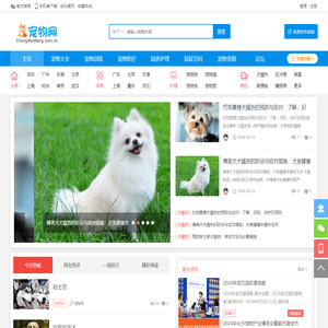 宠物网