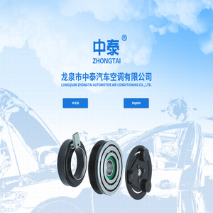 龙泉市中泰汽车空调有限公司