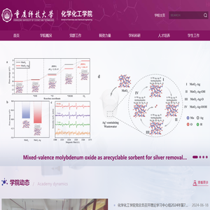 重庆科技大学化学化工学院