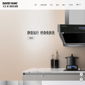大卫·杨AI油烟处理器