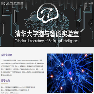 清华大学脑与智能实验室