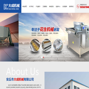 五香花生米生产线