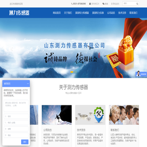 美国传力称重传感器