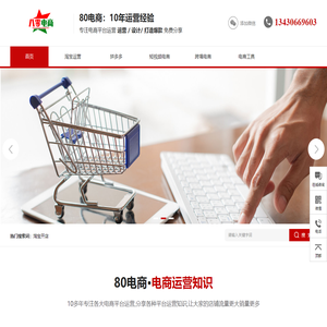 打造高效电商运营