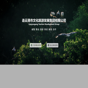 连云港市文化旅游发展集团有限公司